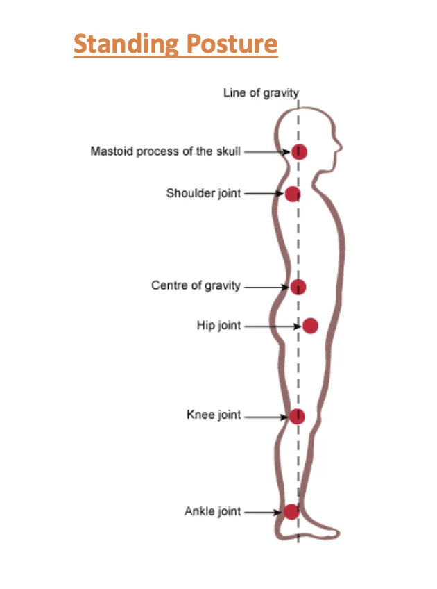 Standing Posture