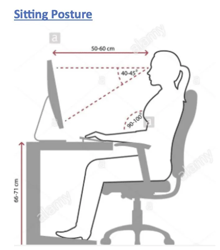 Sitting Posture