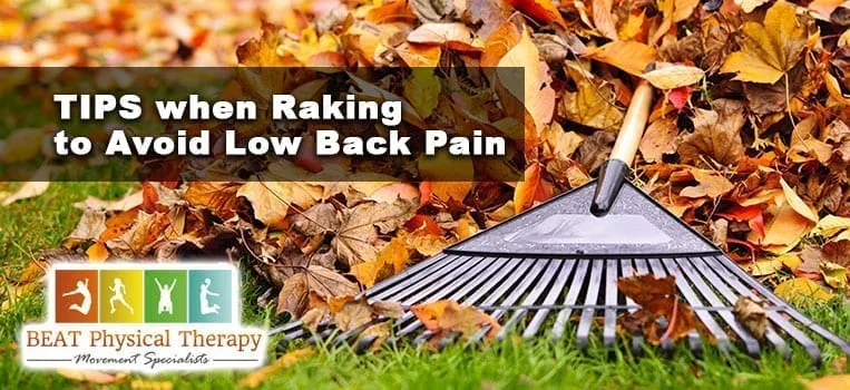 Low Back Pain